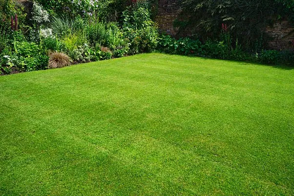 Top-rated landscaping services in Bell, FL by Cornell Customs
