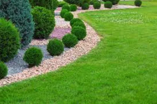 Trusted landscape design experts serving Bell, FL - Cornell Customs