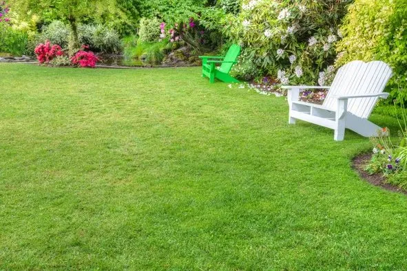 Trusted lawn care service for homes in Bell, FL by Cornell Customs
