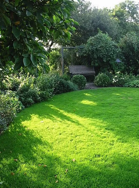 Affordable yard cleanup service for year-round maintenance across Bell, FL - Cornell Customs