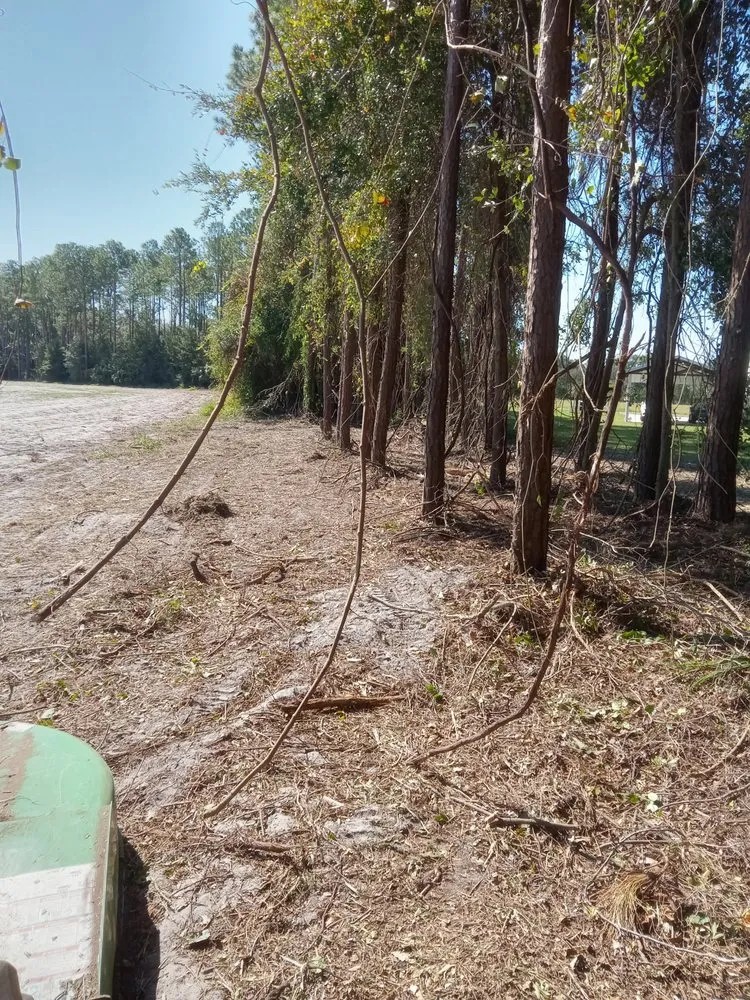 Expert residential landscaping in Bell, FL - Cornell Customs
