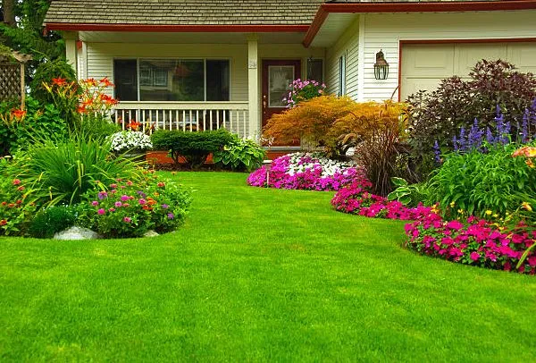 Custom yard maintenance experts serving Bell, FL - Cornell Customs