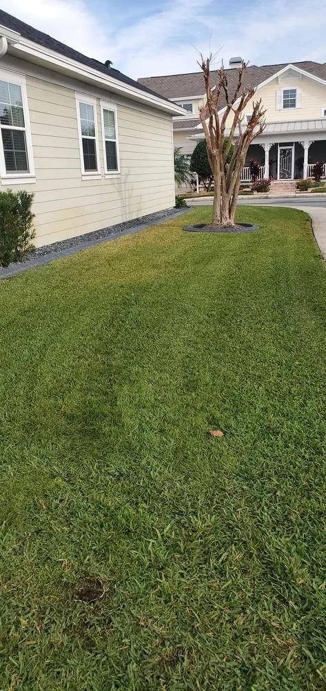 Trusted outdoor landscaping in Wildwood, FL by Cornell's Lawn Care