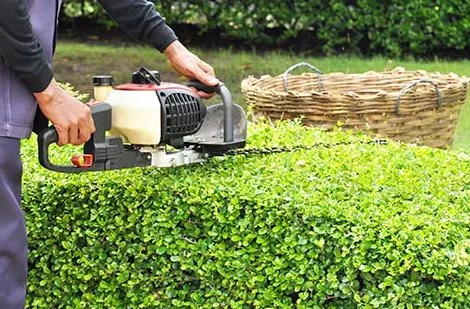 Expert yard cleanup service experts serving Havelock, NC - Cornel's Lawn Care & Pressure Washing