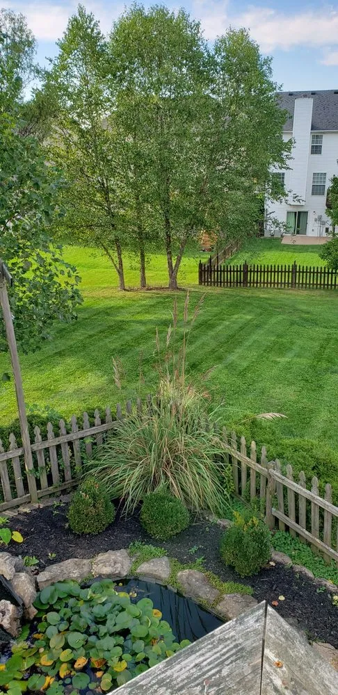 Expert yard maintenance experts serving Lexington, KY - Corner Care Lawns