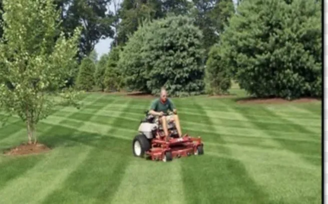 Reliable yard cleanup service for homes across Baton Rouge, LA - Corner Landscaping