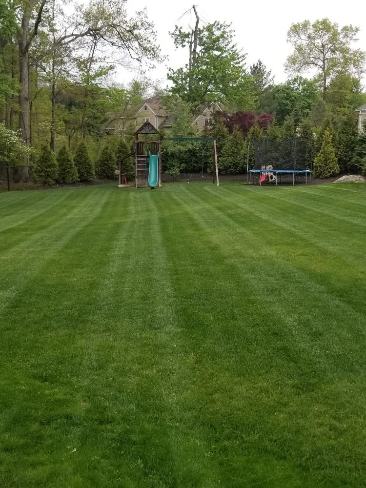 Custom yard maintenance for year-round maintenance across Fair Lawn, NJ - Corner To Corner Irrigation and Landscaping