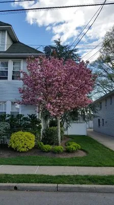 Corner To Corner Irrigation and Landscaping