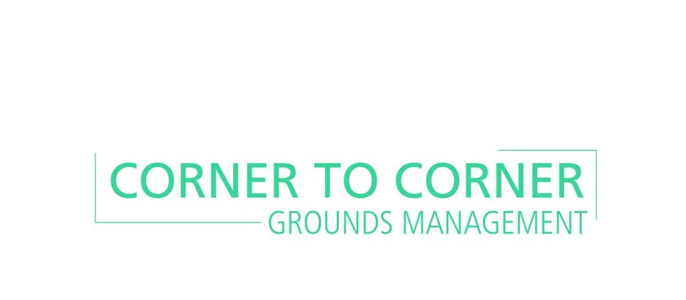 Professional landscape installation in Wasilla, AK by Corner to Corner