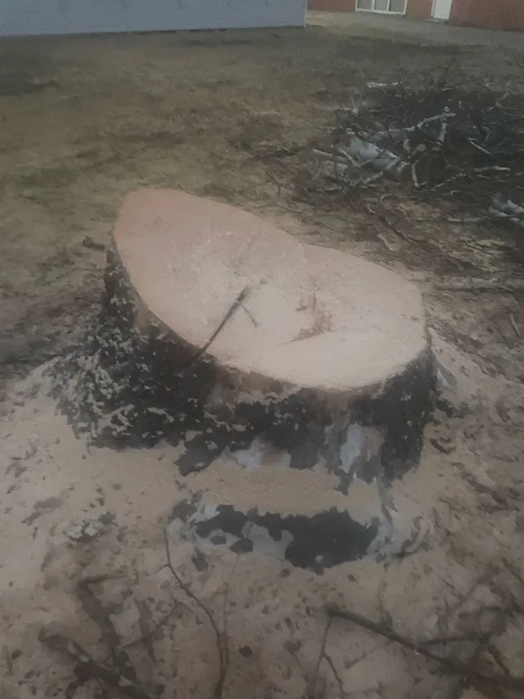 Trusted landscape design near you across Portsmouth, VA - Cornergreen