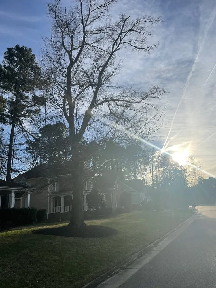 Local residential landscaping near you across Portsmouth, VA - Cornergreen