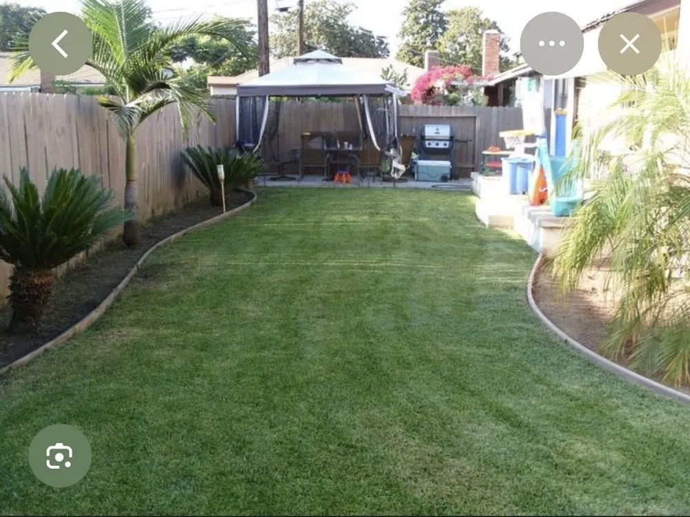 Affordable yard cleanup service for beautiful yards in Portsmouth, VA by Cornergreen
