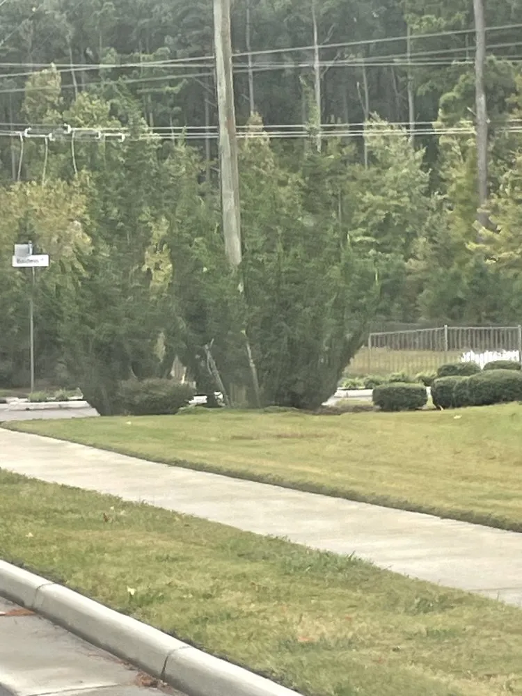 Trusted landscape design with custom design in Portsmouth, VA by Cornergreen