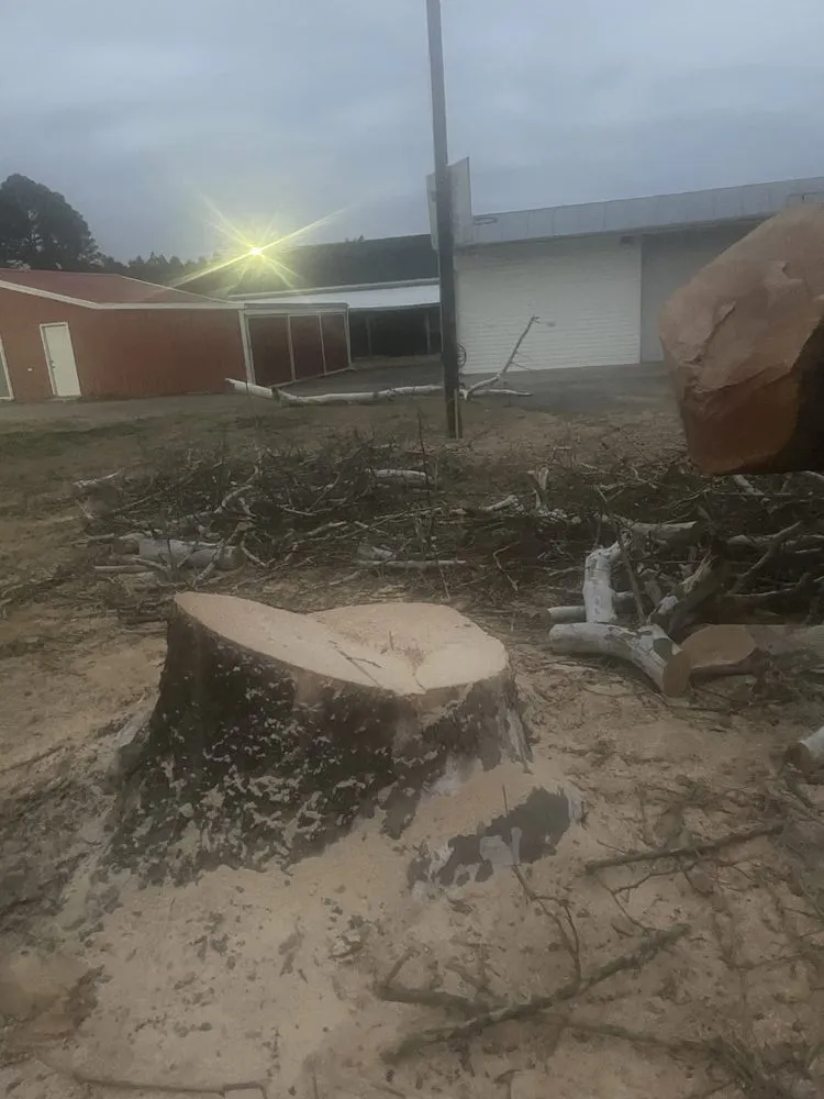 Expert landscape installation with custom design across Portsmouth, VA - Cornergreen