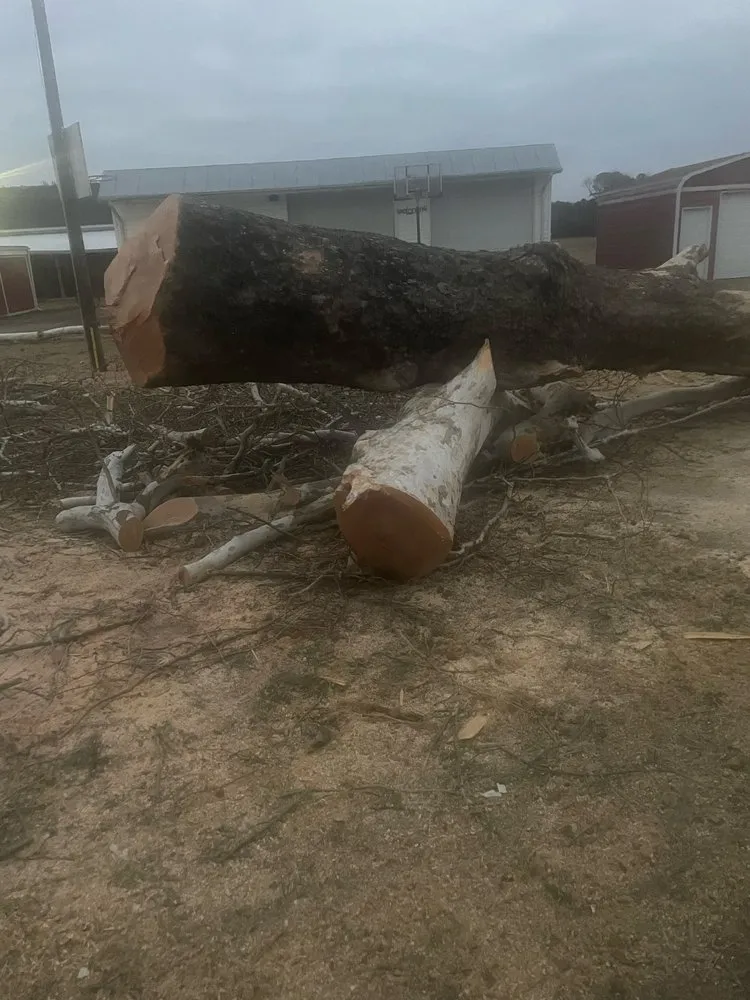 Trusted landscape installation experts serving Portsmouth, VA - Cornergreen