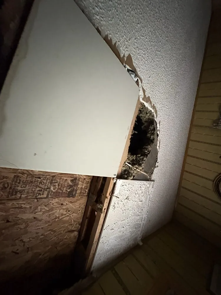 Reliable yard cleanup service in Wheeling, WV - CornerStone Construction & Landscaping