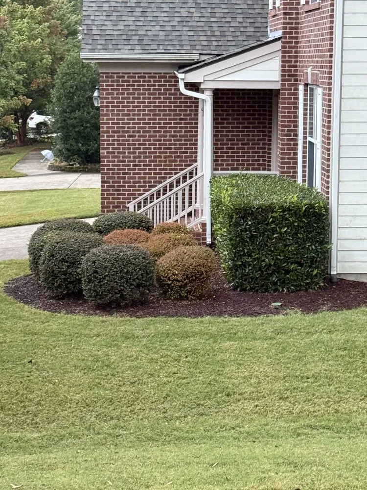 Affordable landscaping services for year-round maintenance across Durham, NC - Cornerstone