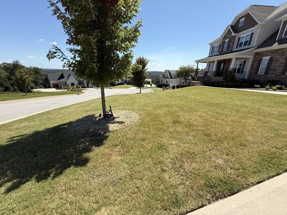 Professional landscaping services experts serving Durham, NC - Cornerstone