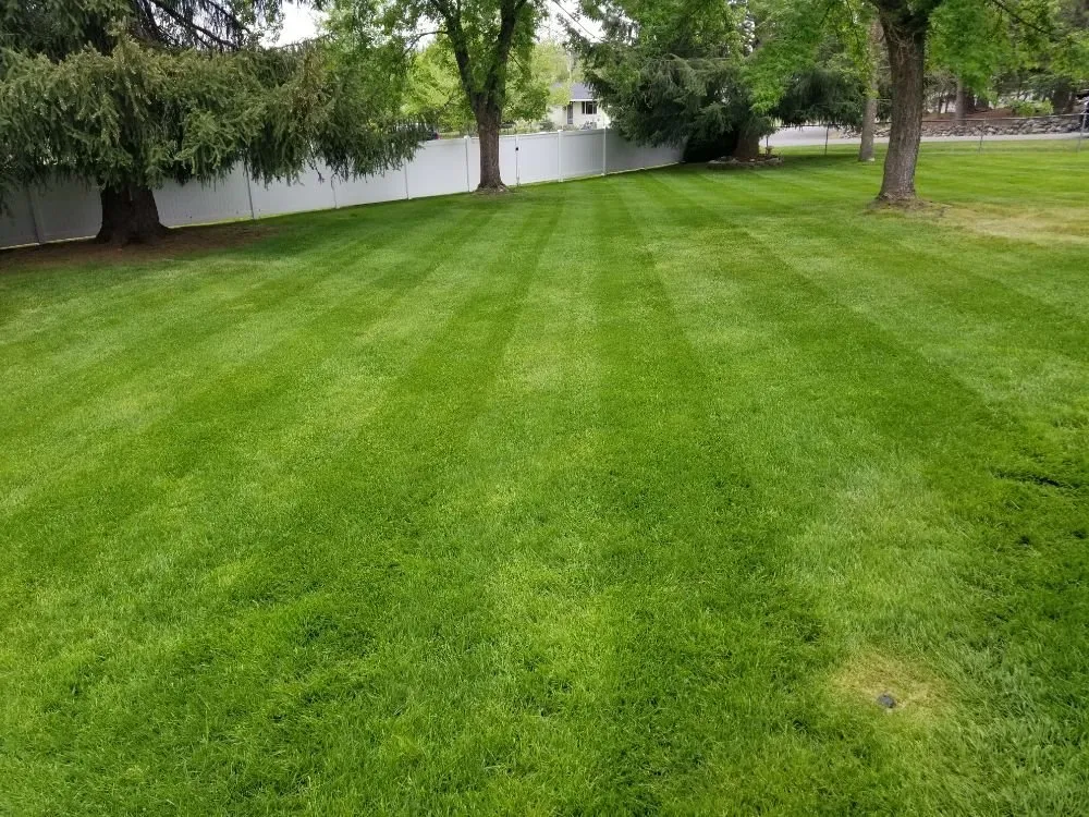 Reliable lawn mowing service in Post Falls, ID - Cornerstone Home Services