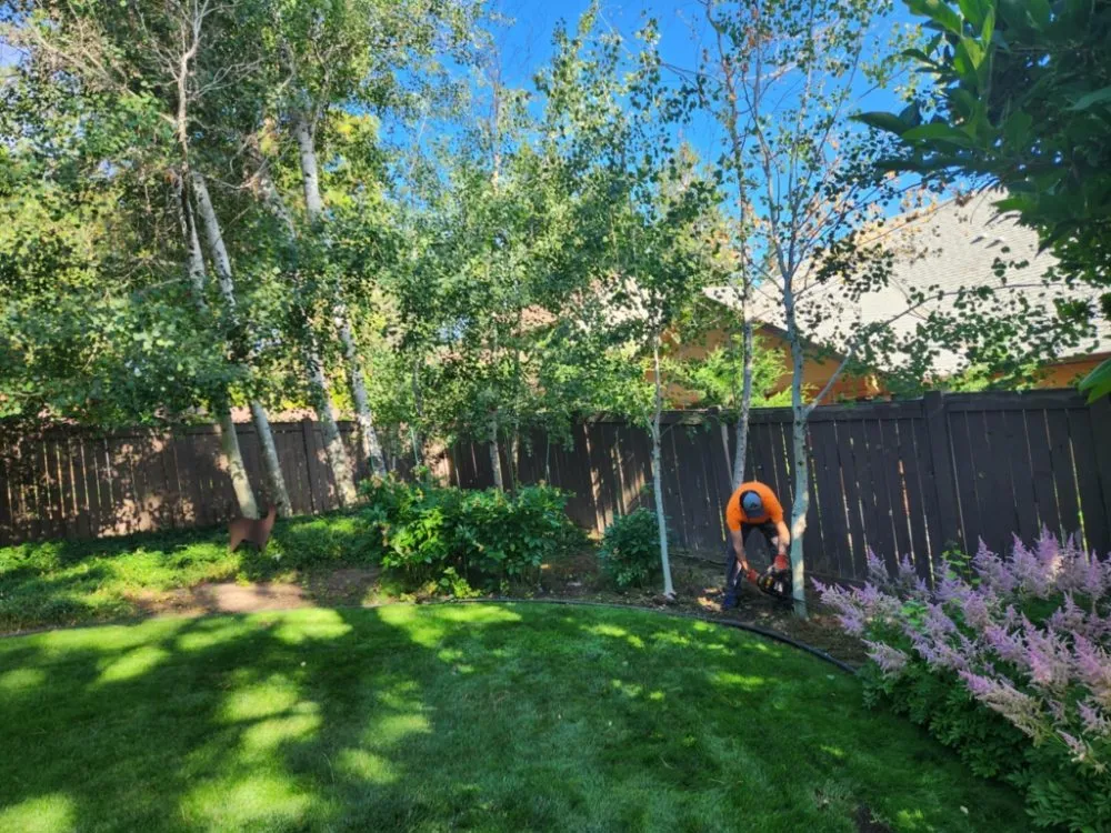 Affordable residential landscaping in Clayton, WA - Cornerstone Irrigation and Maintenance