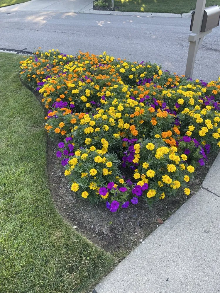 Local landscaping services in Dayton, OH by Cornerstone Landscape & Design