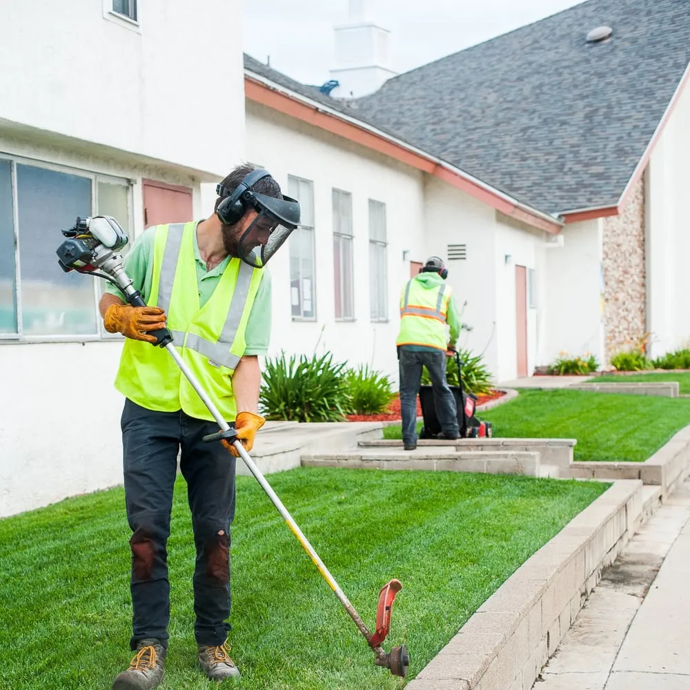 Trusted yard cleanup service experts serving Lakeside, CA - Cornerstone Landscape