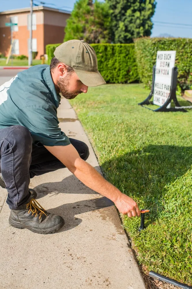 Expert outdoor landscaping in Lakeside, CA by Cornerstone Landscape