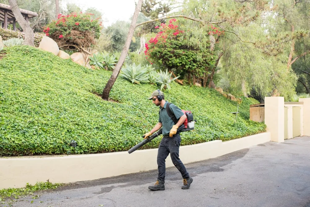 Reliable landscape installation for residential properties in Lakeside, CA by Cornerstone Landscape