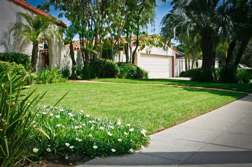 Trusted landscape design in Lakeside, CA by Cornerstone Landscape