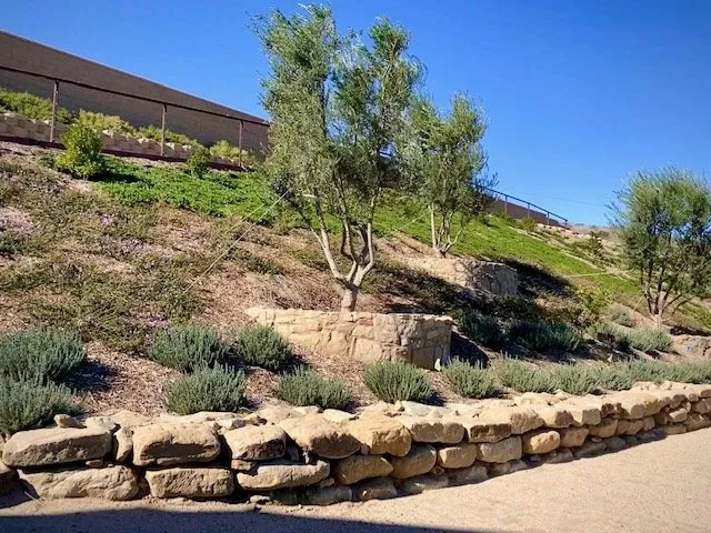 Custom landscape installation near you in Brea, CA by Cornerstone Landscape Services