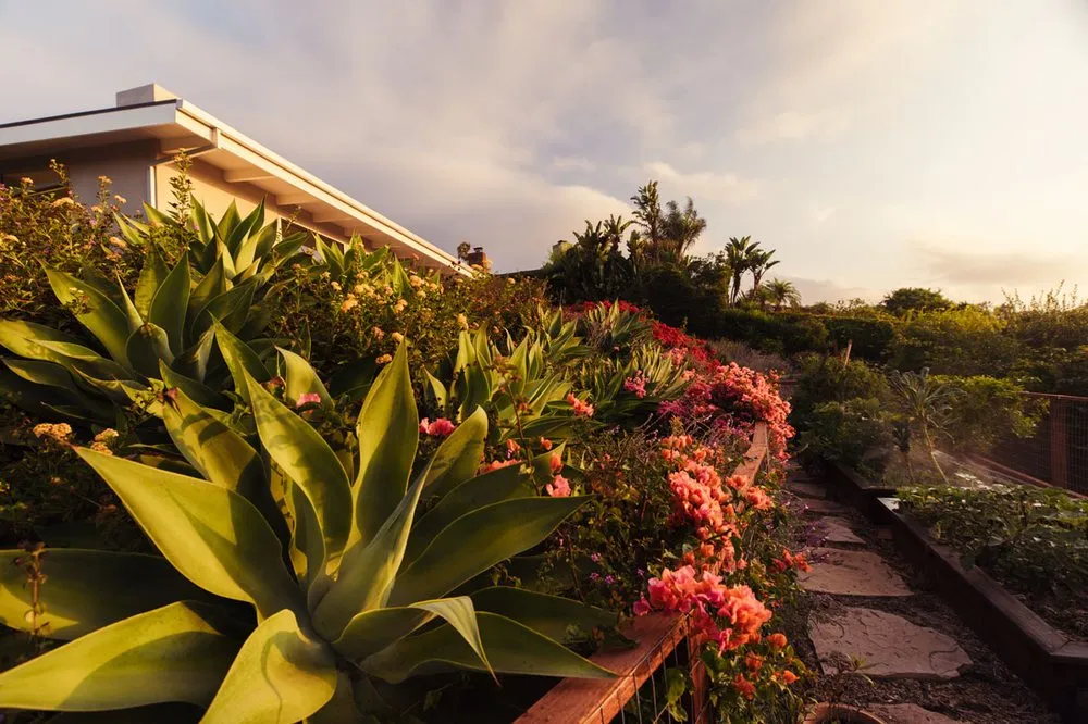 Top-rated yard maintenance with custom design in Goleta, CA by Cornerstone Landscapes
