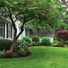 Professional outdoor landscaping in Waynesville, NC by Cornerstone Landscaping & Maintenance