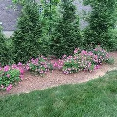 Reliable landscape installation in Waynesville, NC by Cornerstone Landscaping & Maintenance
