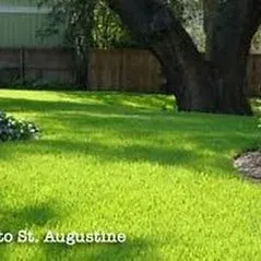 Trusted landscaping services for residential properties across Waynesville, NC - Cornerstone Landscaping & Maintenance