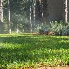 Reliable garden landscaping in Waynesville, NC - Cornerstone Landscaping & Maintenance