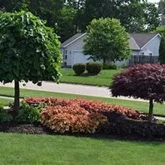 Professional landscape installation with custom design across Waynesville, NC - Cornerstone Landscaping & Maintenance