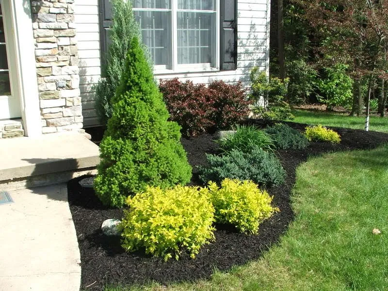 Professional yard cleanup service in Waynesville, NC - Cornerstone Landscaping & Maintenance
