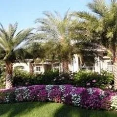 Reliable outdoor landscaping experts serving Waynesville, NC - Cornerstone Landscaping & Maintenance