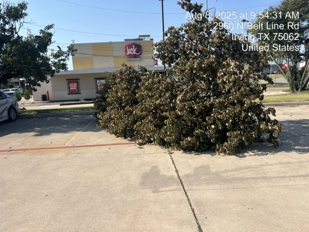 Custom landscape installation in Dallas, TX by Cornerstone Lawn & Landscape