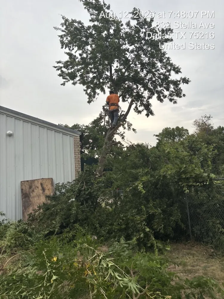 Reliable residential landscaping with custom design in Dallas, TX by Cornerstone Lawn & Landscape