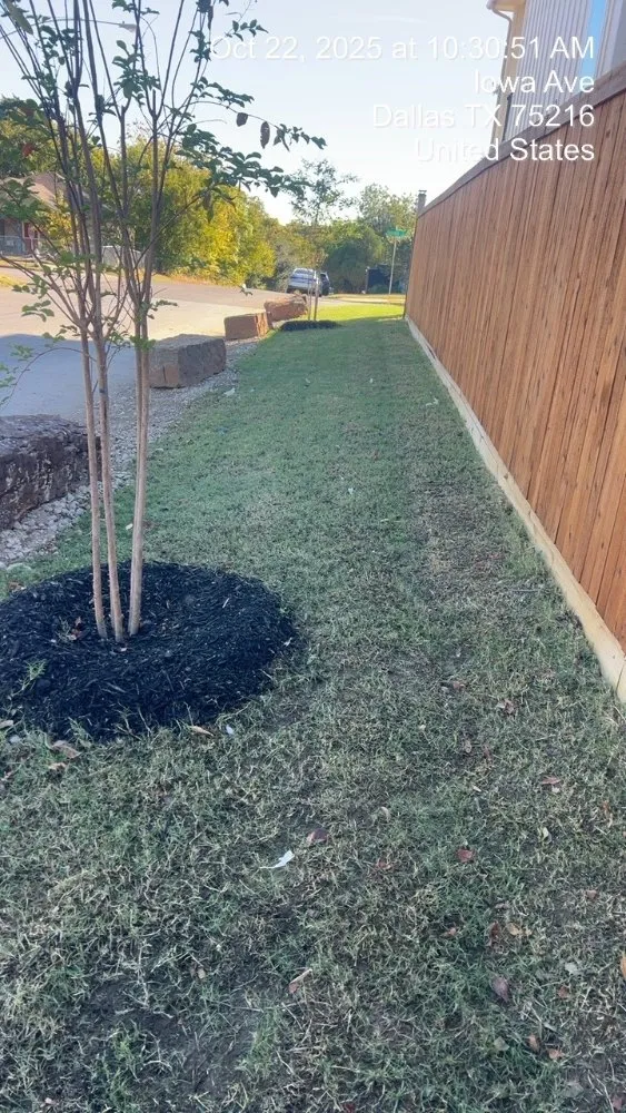 Affordable yard cleanup service in Dallas, TX by Cornerstone Lawn & Landscape