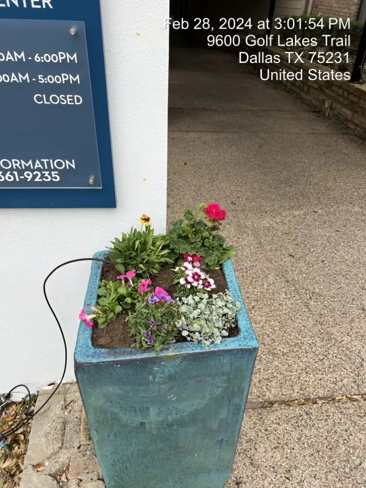 Top-rated yard cleanup service for residential properties in Dallas, TX by Cornerstone Lawn & Landscape