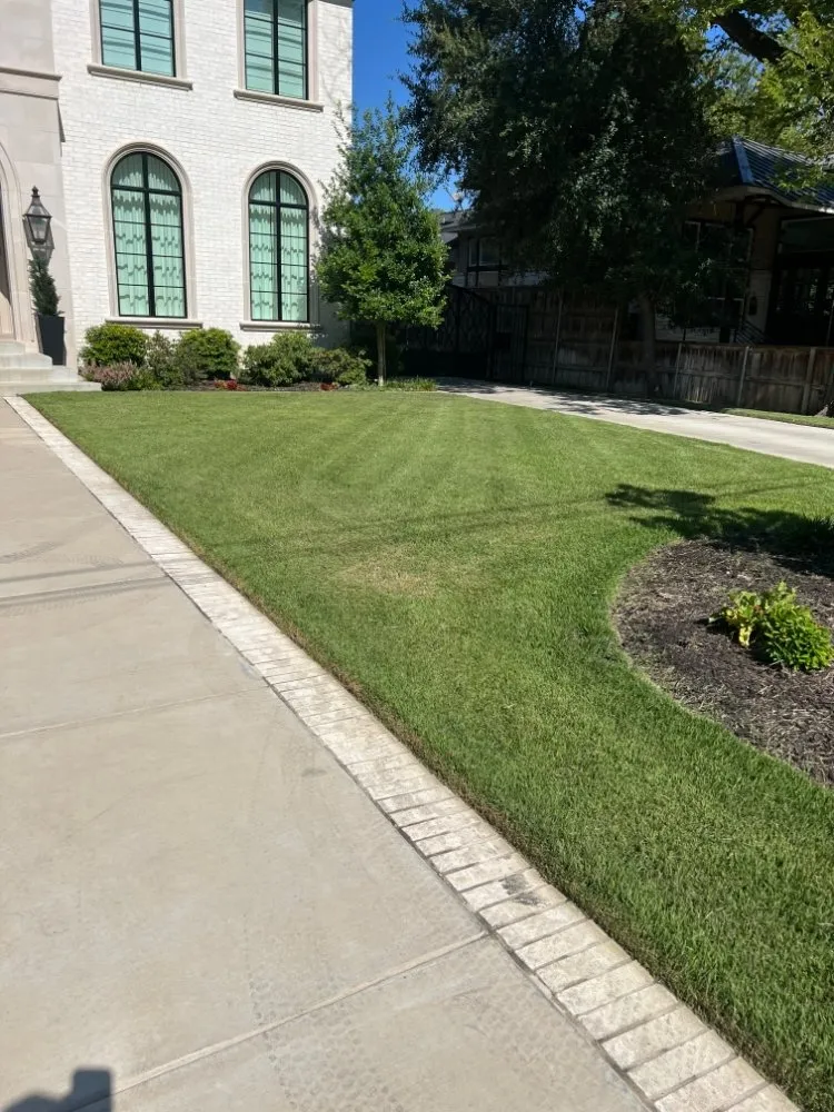 Professional yard cleanup service in Dallas, TX by Cornerstone Lawn & Landscape
