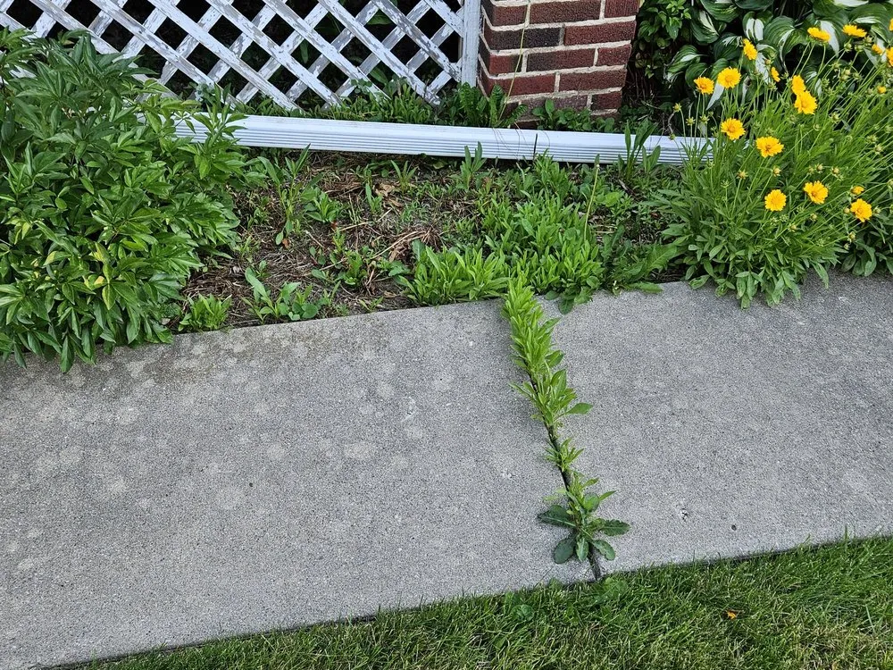 Trusted yard maintenance experts serving Mount Pleasant, WI - Cornerstone Lawn Care