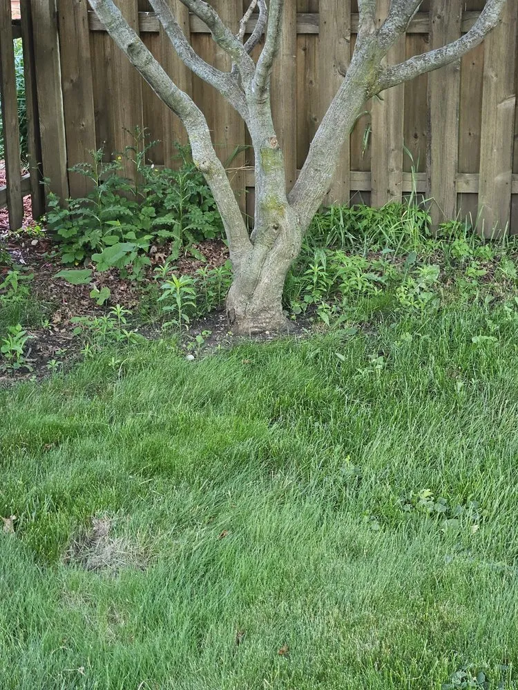 Affordable garden landscaping for homes across Mount Pleasant, WI - Cornerstone Lawn Care