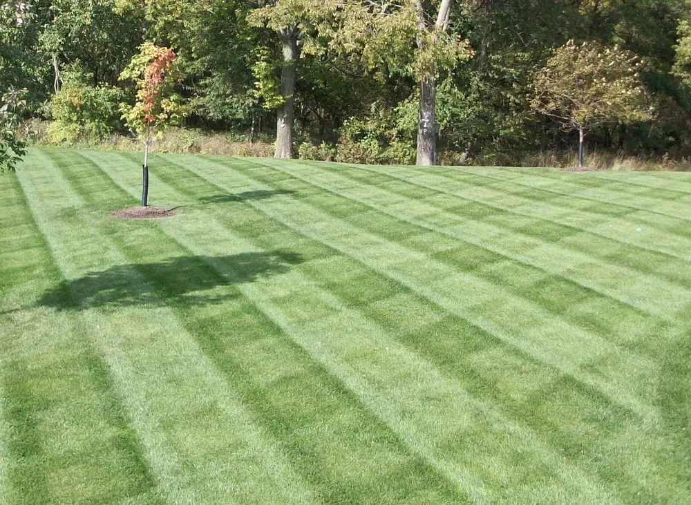 Expert landscaping services experts serving Charles Town, WV - Cornerstone Lawn Services
