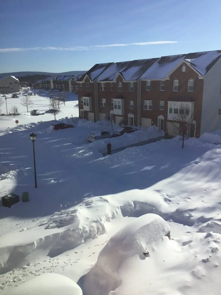 Expert yard cleanup service for homes in Charles Town, WV by Cornerstone Lawn Services