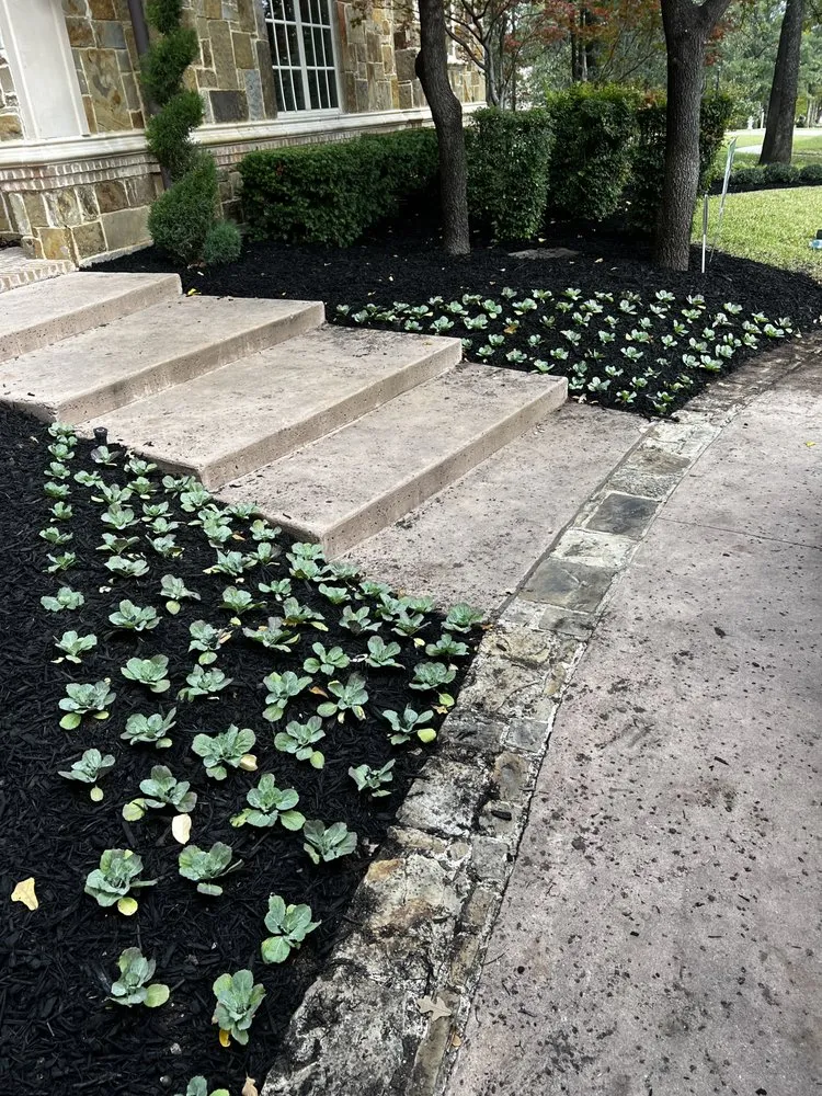 Trusted lawn mowing service experts serving Dallas, TX - Cornerstone LMC