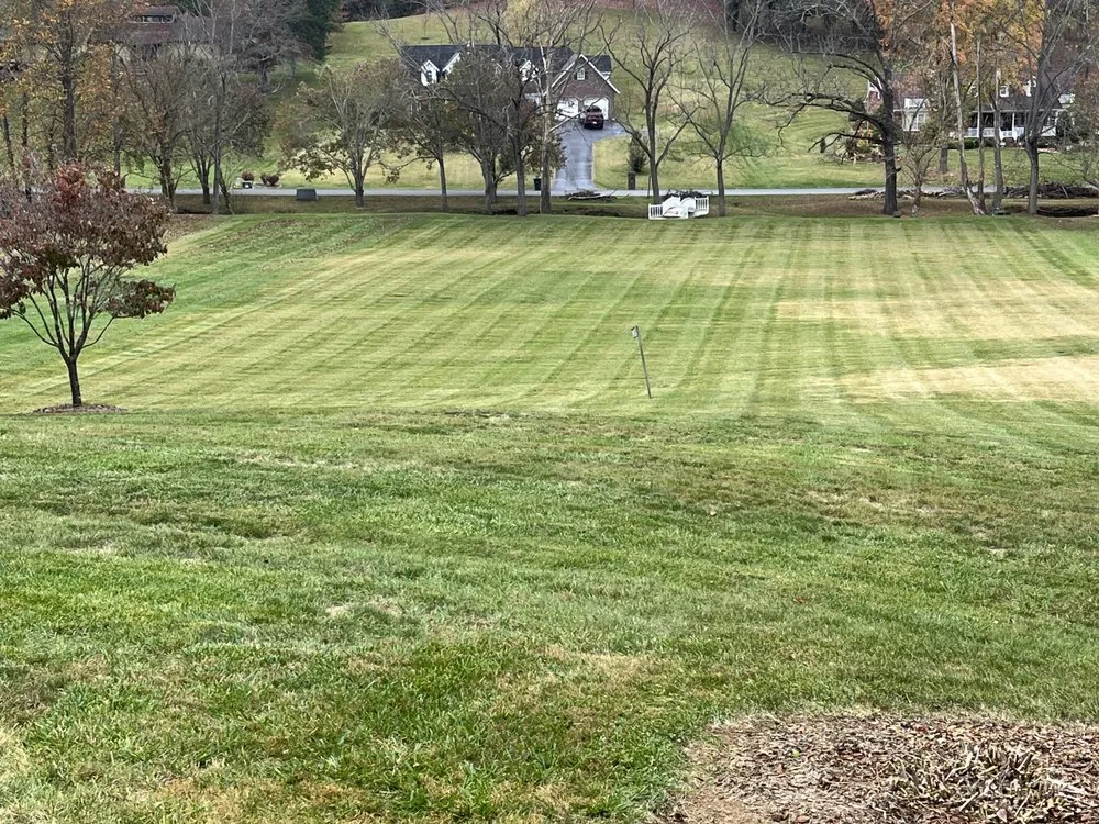 Expert landscaping services in Johnson City, TN by Cornerstone Outdoor Services