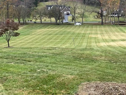 Cornerstone Outdoor Services